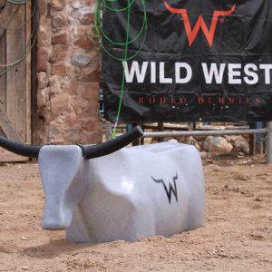 WILD STEER